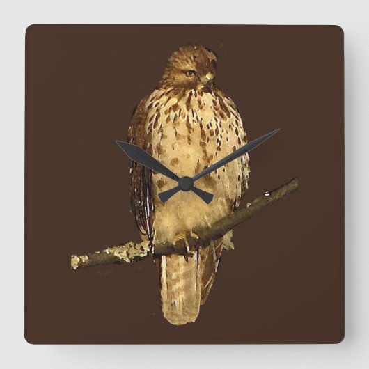 Carrée Horloge à queue rouge (Recto)