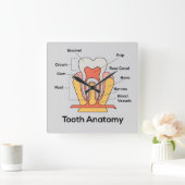 Carrée Horloge Anatomie des dents (Maison)