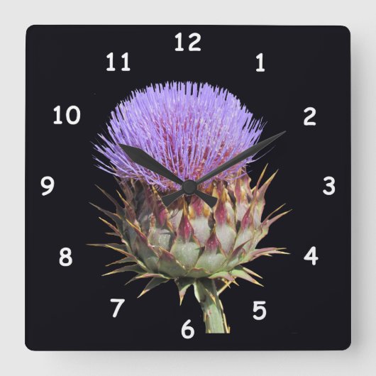 Carrée Horloge - Chardon (Recto)