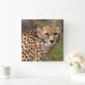 Carrée Horloge Cheetah (Maison)