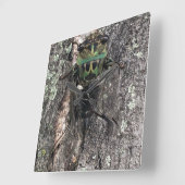 Carrée Horloge Cicada (Angle)