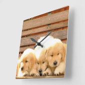 Carrée Horloge de 3 chiots (Angle)