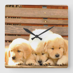 Carrée Horloge de 3 chiots