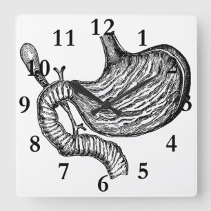 Carrée horloge de dessin d'estomac