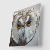 Carrée Horloge de hibou (Angle)