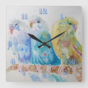 Carrée Horloge de la chambre 3 Budgie Budgerigar