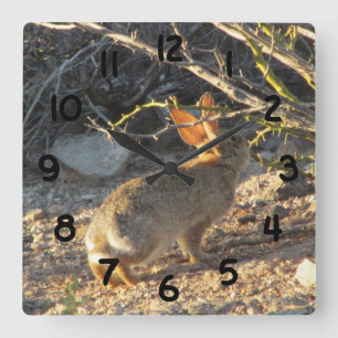 Carrée Horloge de lapin de lapin de désert