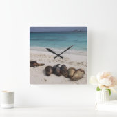 Carrée Horloge de plage (Maison)