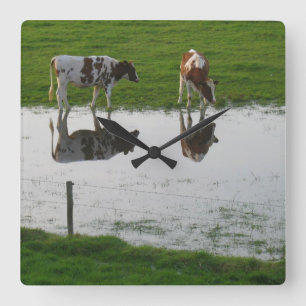 Carrée Horloge de réflexions de vaches