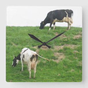 Carrée Horloge de vaches