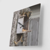 Carrée Horloge d'écureuil (Angle)