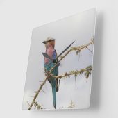 Carrée Horloge d'oiseau de Lilac Breased Roller (Angle)
