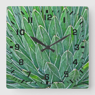 Carrée HORLOGE DU MUR carré AVEC LE PLANTE AGAVE
