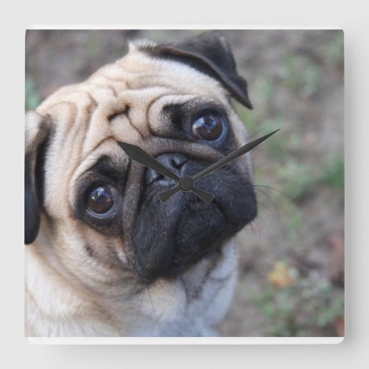 Carrée Horloge du mur du carlin (Recto)