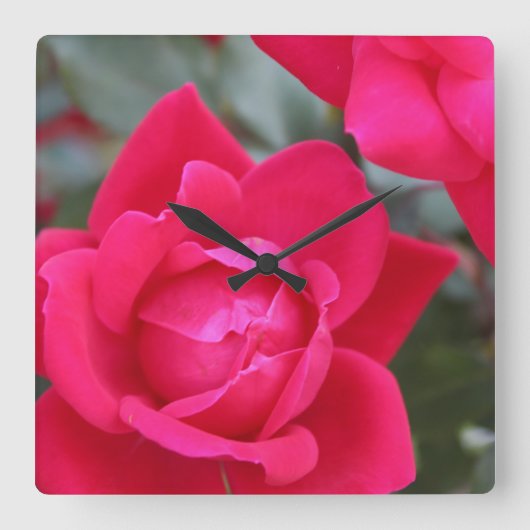 CARRÉE HORLOGE DU MUR ROSE ROUGE (Recto)