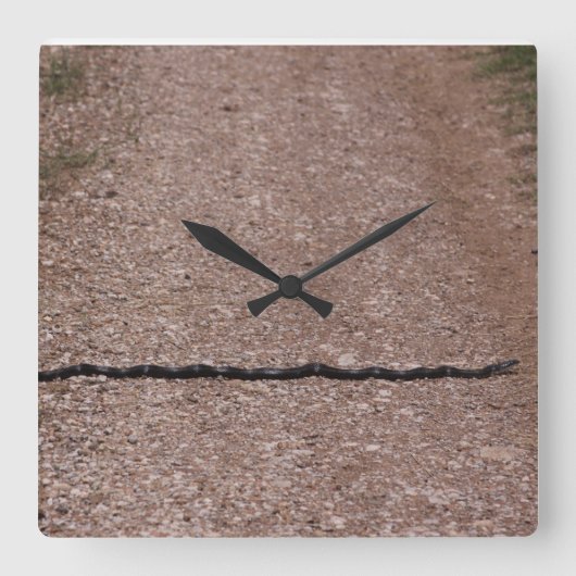 Carrée Horloge du serpent de rat (Recto)