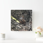 Carrée Horloge Écureuil (Maison)