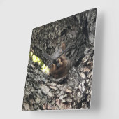 Carrée Horloge Écureuil (Angle)