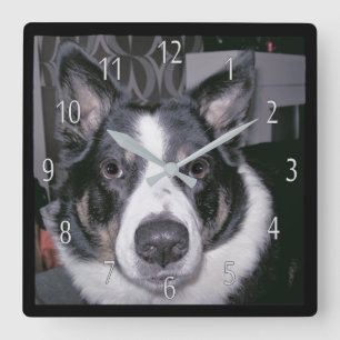 Carrée Horloge faite sur commande de chien