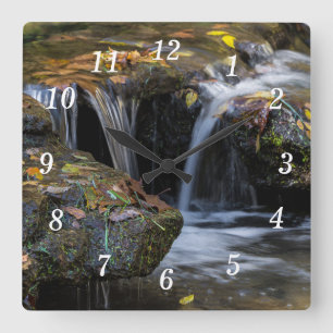 Carrée Horloge Mural Des feuilles Et Cascades