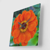 Carrée Horloge orange de fleurs de Zinnia (Angle)