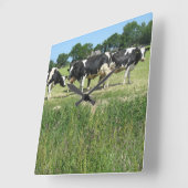 Carrée Horloge photo vaches (Angle)
