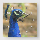 Carrée Horloge - Portrait de paon (Recto)