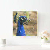 Carrée Horloge - Portrait Peacock (Maison)