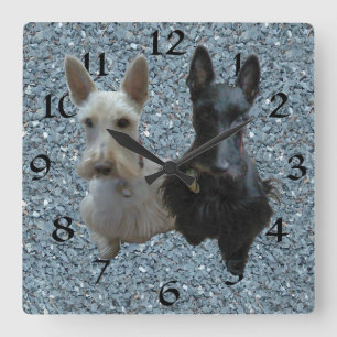 Carrée Horloge Terrier Écossais