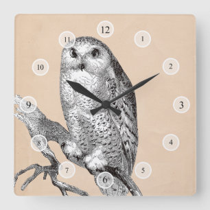 Carrée Horloge vintage de hibou