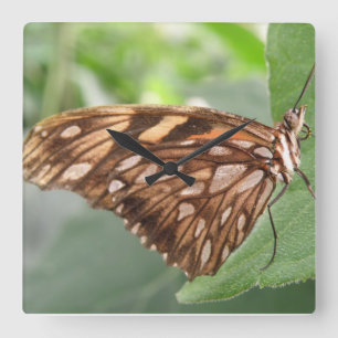 Carrée Jolie horloge Brown papillon