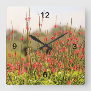Carrée Jolie horloge de fleurs de jardin