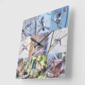 Carrée Oiseaux en mouvement horloge (Angle)