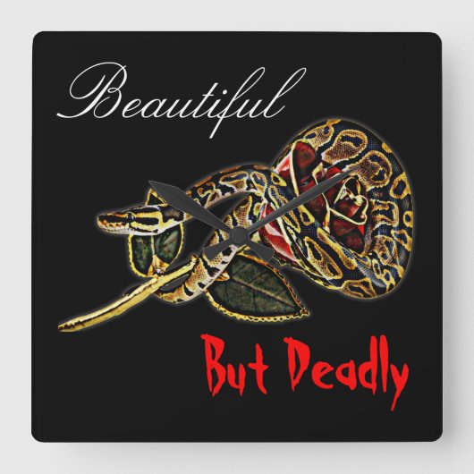 Carrée Rose serpent horloge python (Recto)