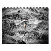 Carrefour Imag - Calendrier 2017 (Protection)