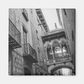 Carrer del Bisbe Magnet : Barcelone