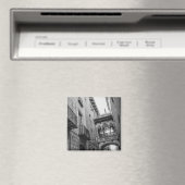 Carrer del Bisbe Magnet : Barcelone (In Situ (Lave-vaisselle))