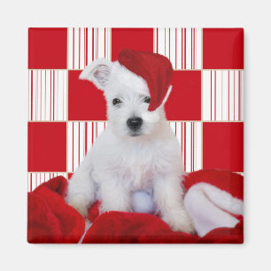 Carrés de chiot de Westie de Noël - aimant carr