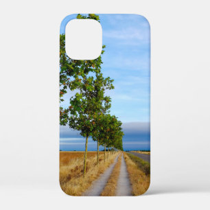 Carretera Hacia Reliegos iPhone 12 Mini Hoesje