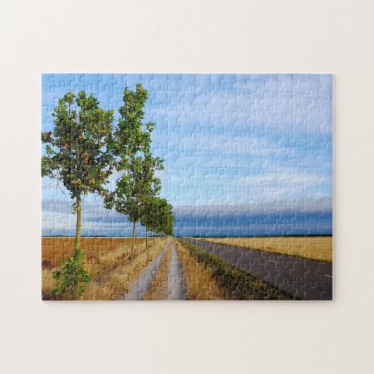 Carretera Hacia Reliegos Legpuzzel (Horizontaal)