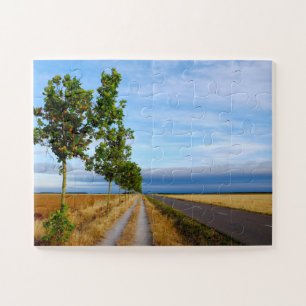 Carretera Hacia Reliegos Legpuzzel