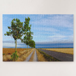 Carretera Hacia Reliegos Legpuzzel