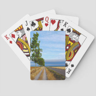 Carretera Hacia Reliegos Pokerkaarten