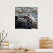 CARRIBEAN BIRD POSTER (Keuken)