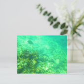 CARRIBEAN BRIEFKAART 2 (Staand voorkant)