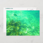 CARRIBEAN BRIEFKAART 2 (Voorkant / Achterkant)