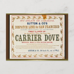 Carrier Dove Clipper Zeilen Briefkaart
