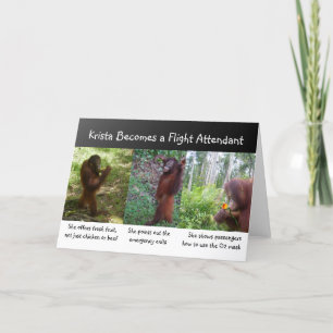 Carrières: Luchtvaartverzorger Kaart