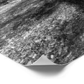 Carrion. Poster (Hoek)