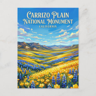 Carrizo Plain National Monument Californië Briefkaart
